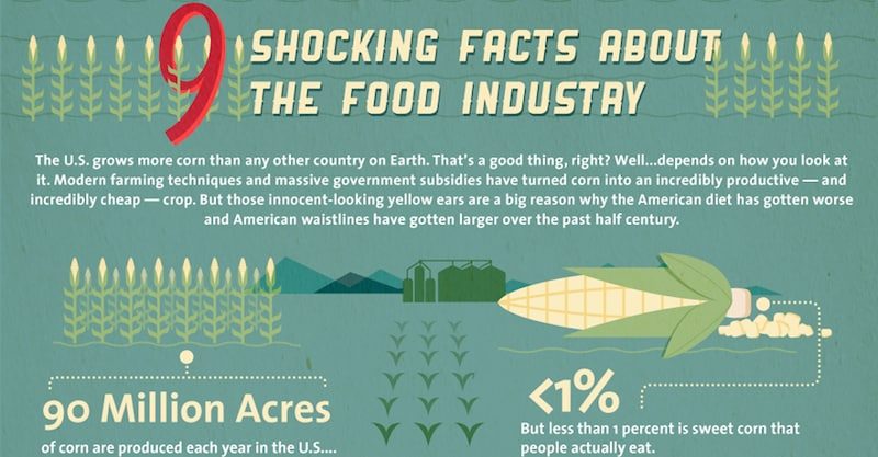corn-industry-infographic-9903840