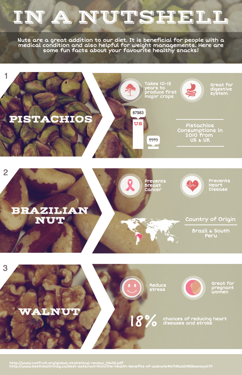 nut-diet-infographic-piktochart-template-1423724