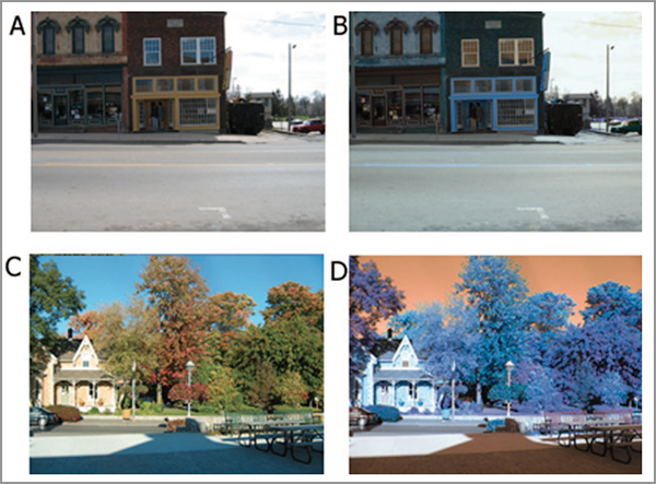 color experiment samples for range of abnormality visual information of shapes