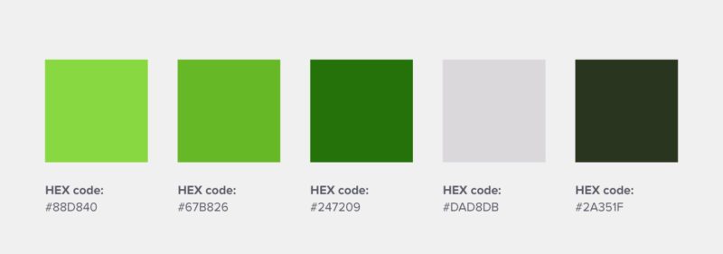 sm protect hex codes, green color palette