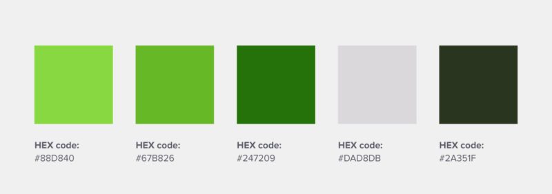 Olive Green Color Palette  Green color names, Olive green color