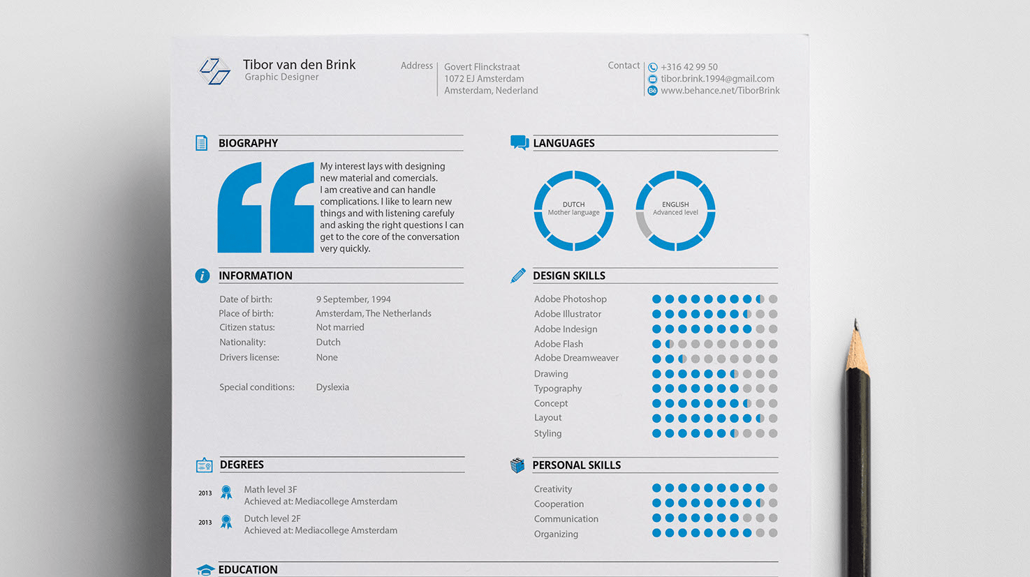 visual resume, resume template