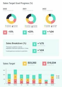 Dashboard Report Informational Infographic Template
