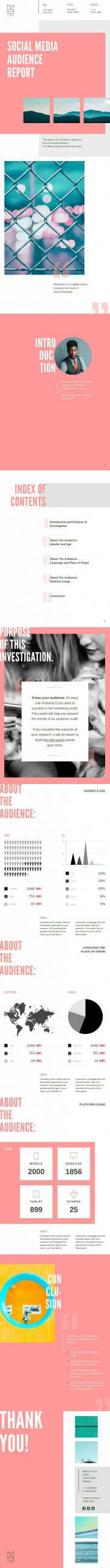 Audience Report Template