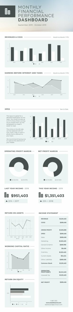 Monthly Financial Performance Dashboard Infographics Template