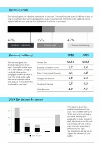 Annual Financial Report Infographics Template