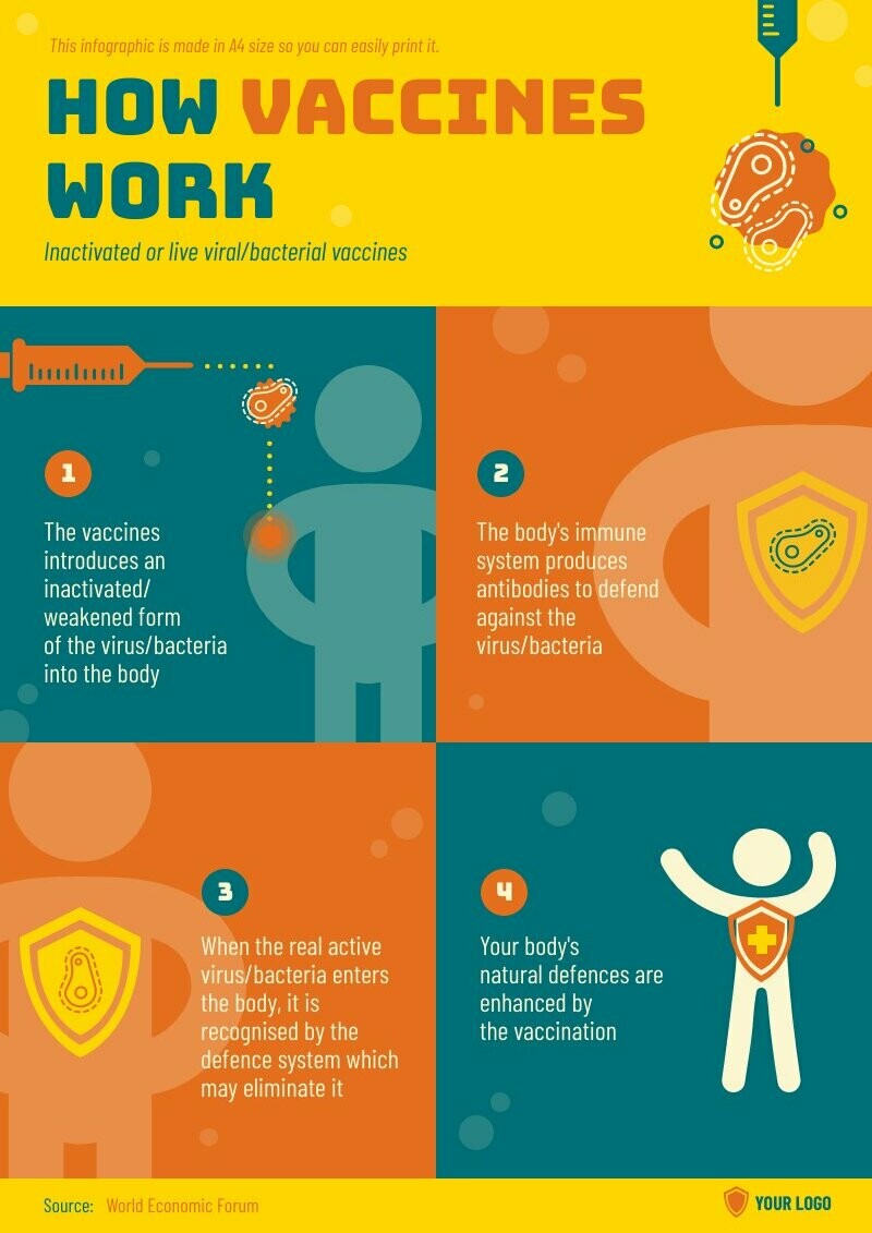 How Do Vaccines Work Process Infographic Template