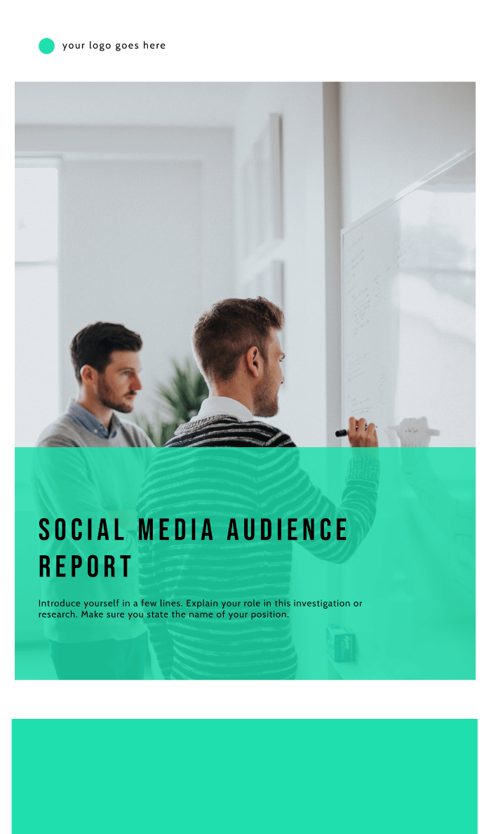 social media report, free report template