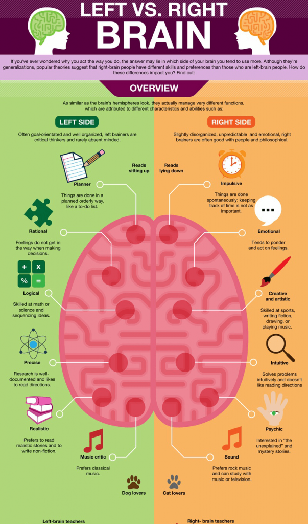comparing characteristics of our brain hemispheres