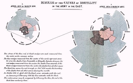 Infografía de Florence Nightingale que detalla las principales causas de mortalidad en el ejército.