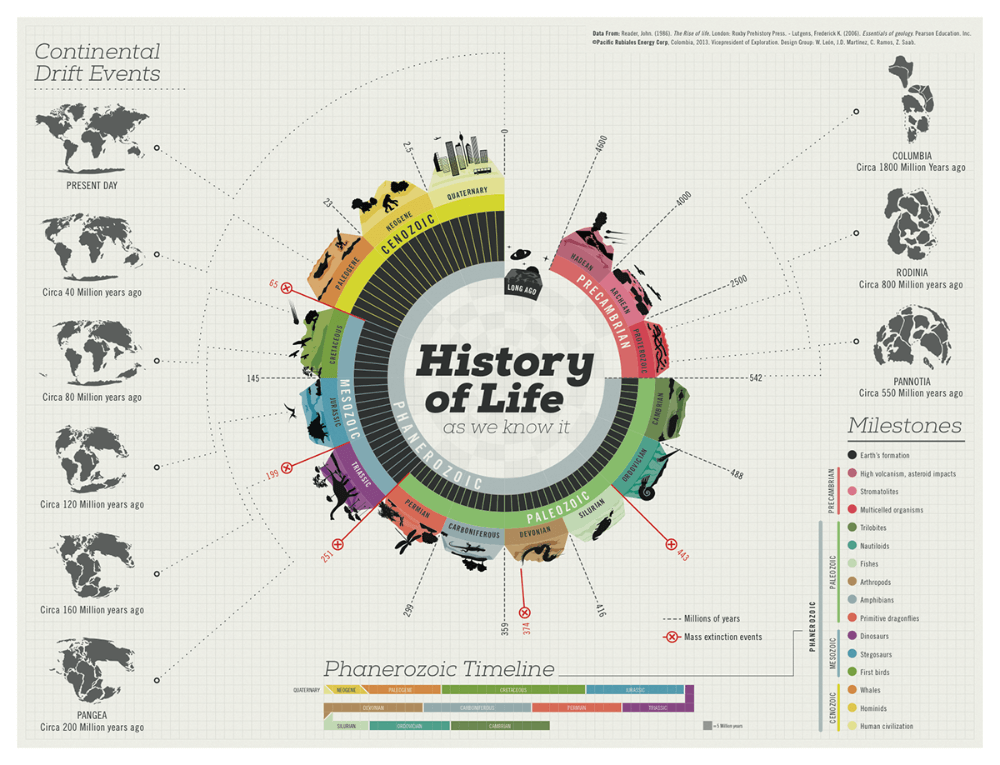 history of life creative infographic