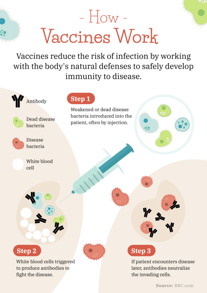 Infografía que explica cómo funciona una vacuna.