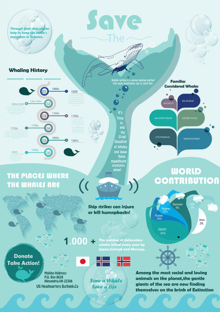 Save the whales infographic