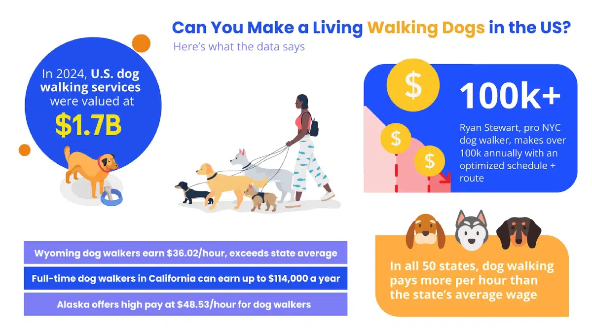 infographic about average wages for dog walkers in united states