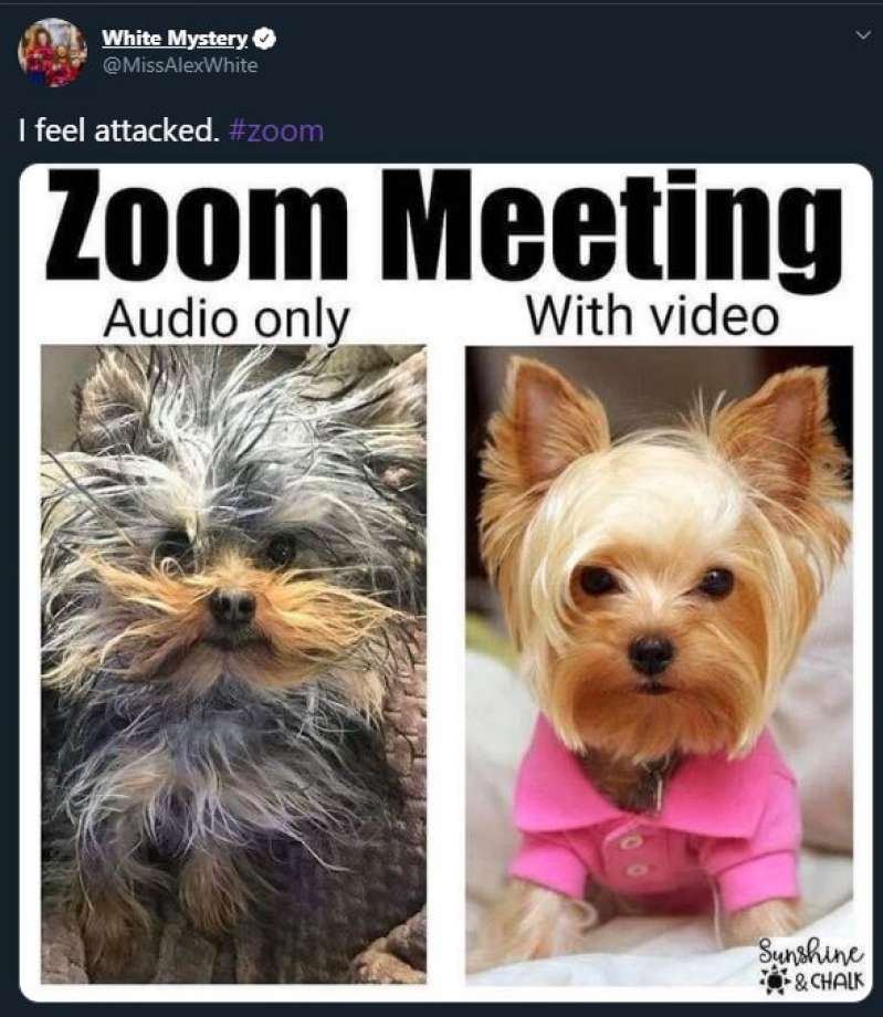 meme about zoom presentations