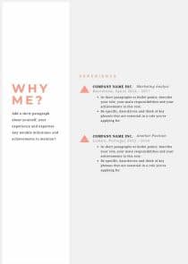 CV Email Marketer Template