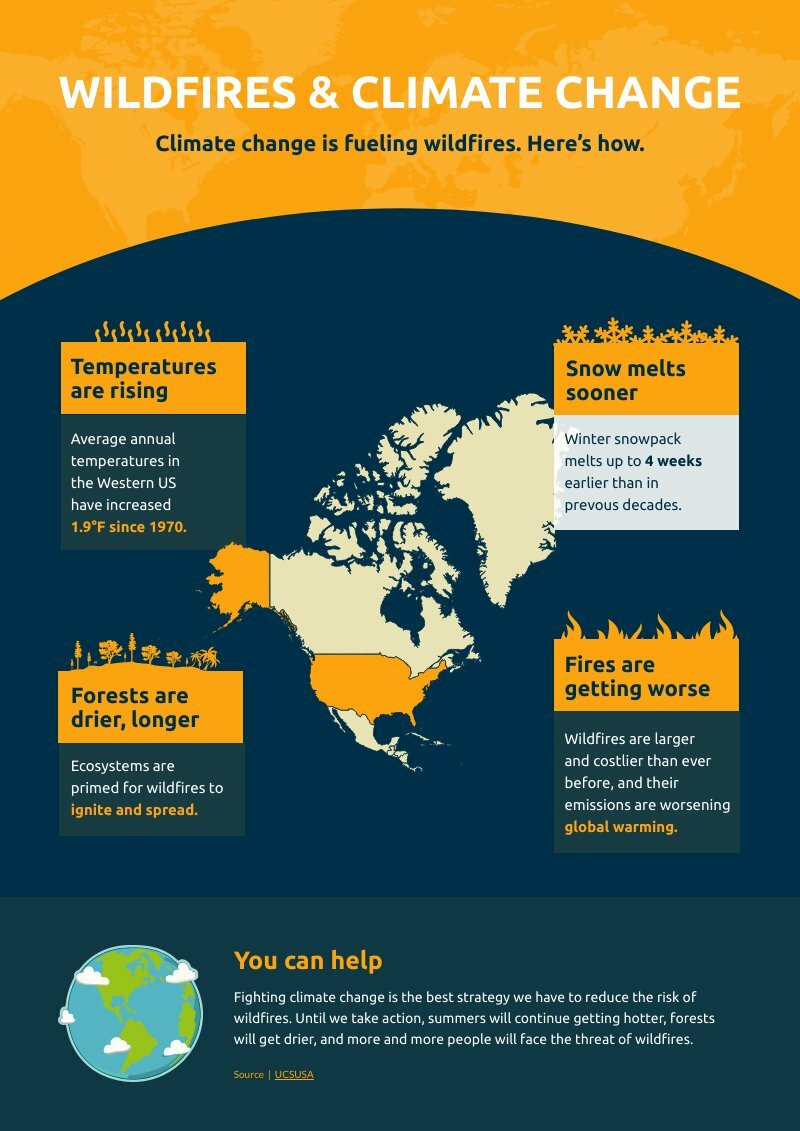 Environmental Degradation Informational Infographic Template