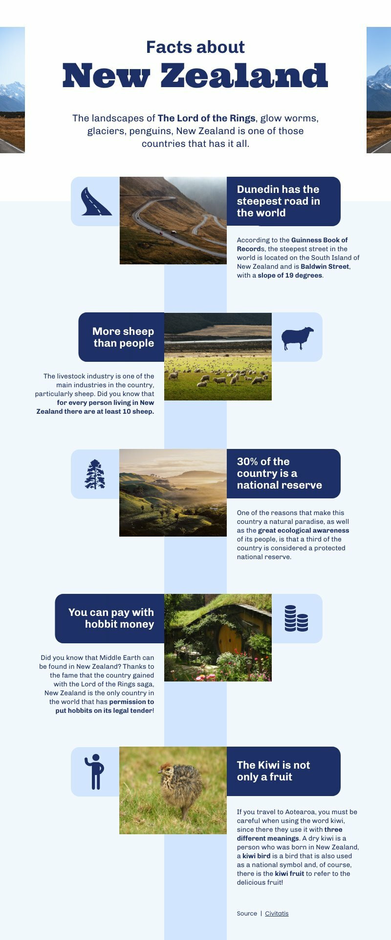 Facts About New Zealand Informational Infographic Template
