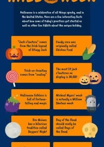 Halloween Facts Informational Infographic Template