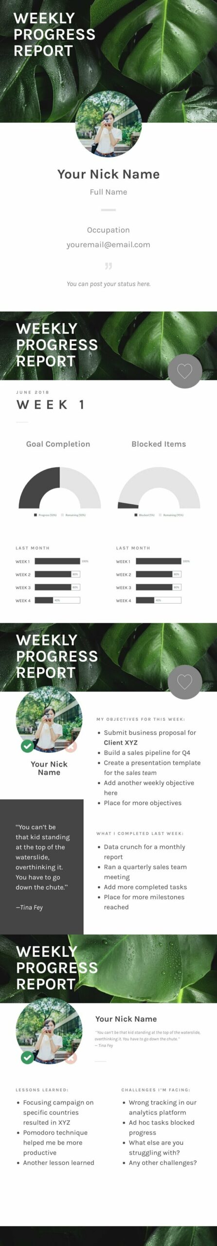Weekly Progress Report Template
