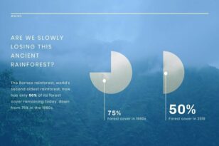 Deforestation News Visualization Template