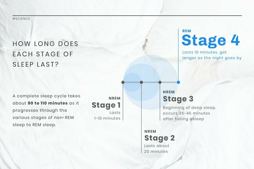 Sleep Stages News Visualization Template