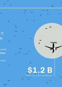 Aviation Cost News Visualization Template