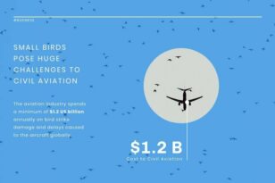 Aviation Cost News Visualization Template