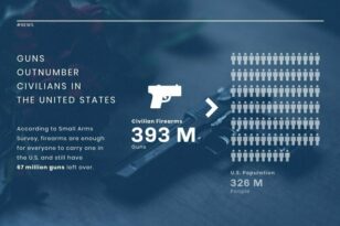 Firearm Gun News Visualization Template
