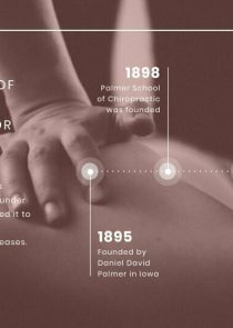 Chiropractor History News Visualization Template
