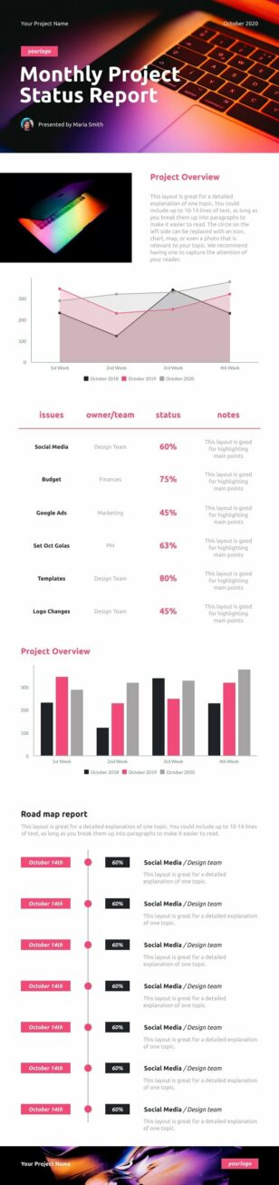 Monthly Project Status Report Informational Infographic Template