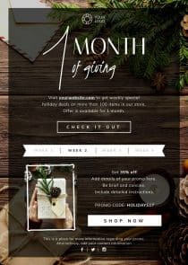 Product Holiday Sale Flyer Template