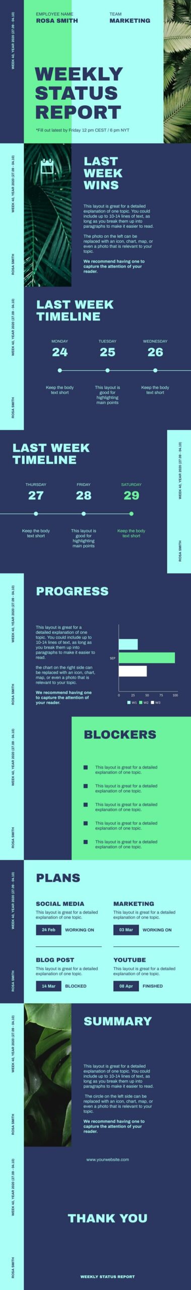 Blue Project Update Report Presentations Template