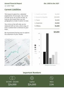 Annual Financial Report 2 Report Template