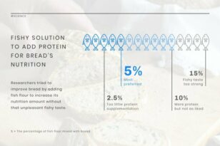 Bread Nutrition News Visualization Template