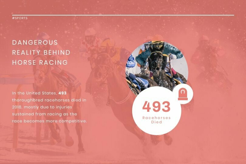 Horse Racing News Visualization Template