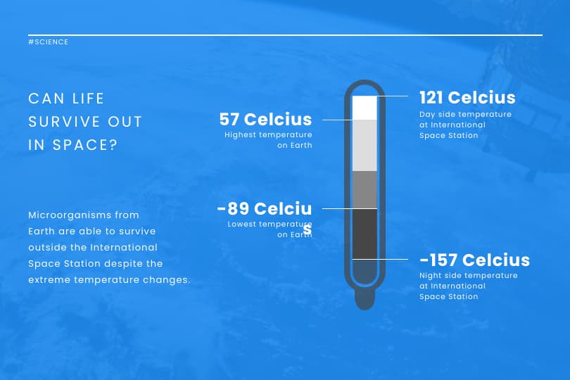 template for can life survive in space