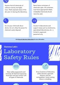 Abstract Playful Lab Safety Rules