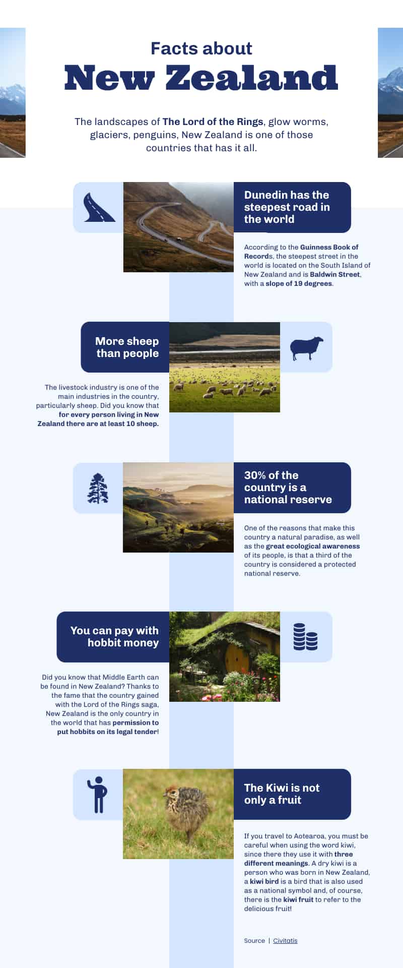 infographic template about new zealand facts
