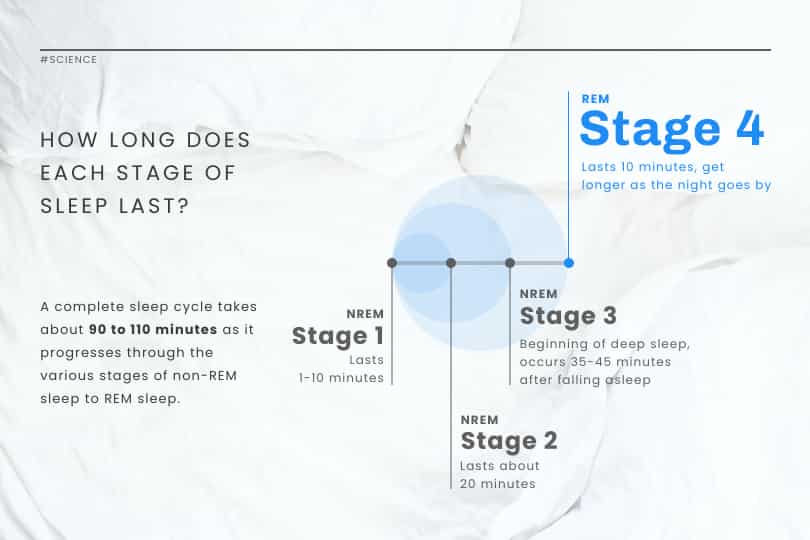 stages of sleep template