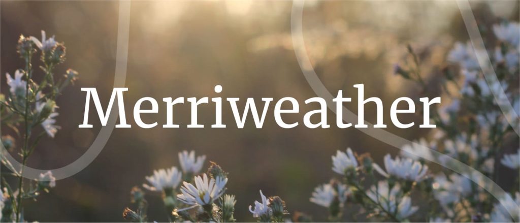 Merriweather - well suited font for captions and subtitles, best subtitle fonts