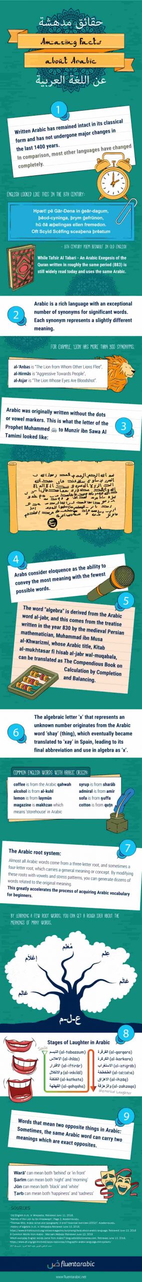 Amazing facts about the Arabic language infographic