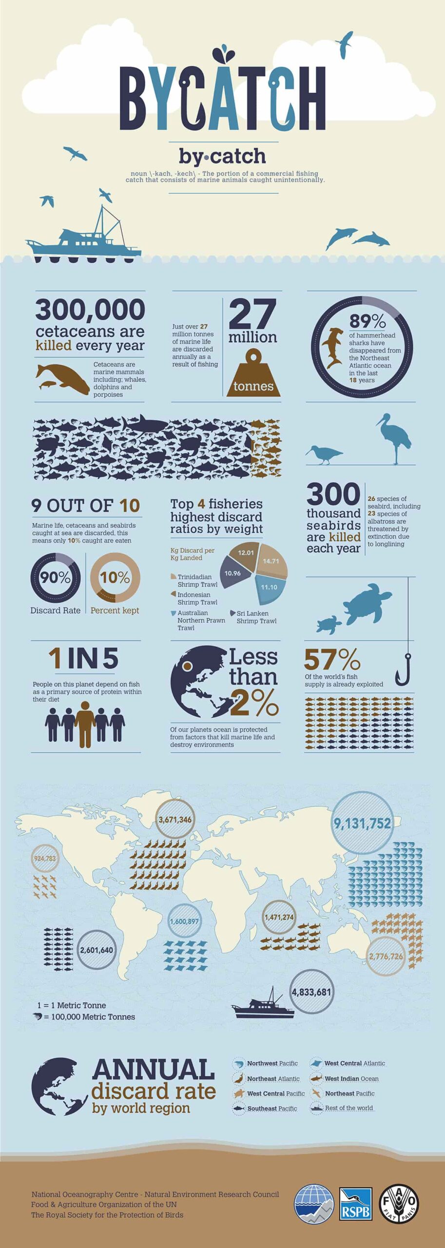 example of an infographic with data visualization - bycatch