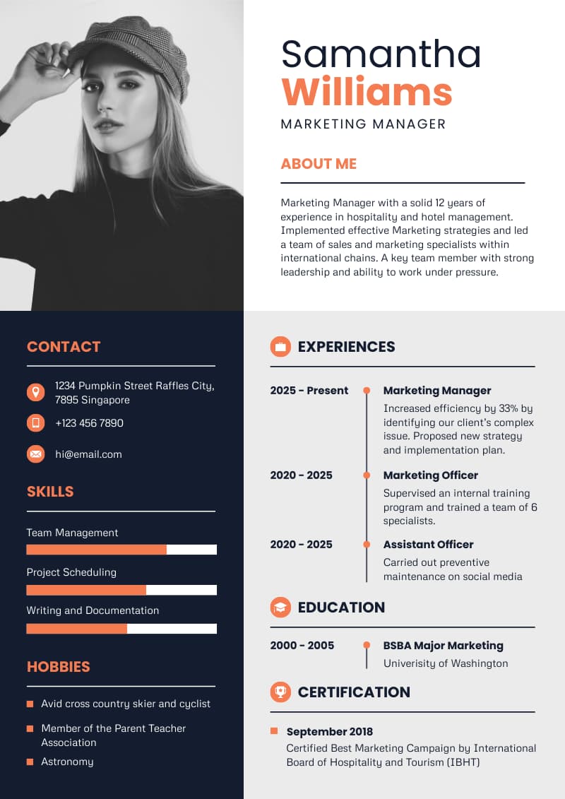 an example of a creative infographic resume