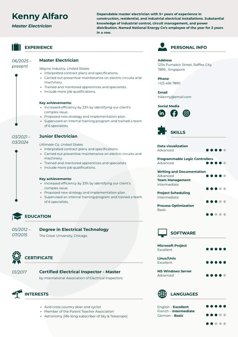 example of an ATS friendly infographic resume