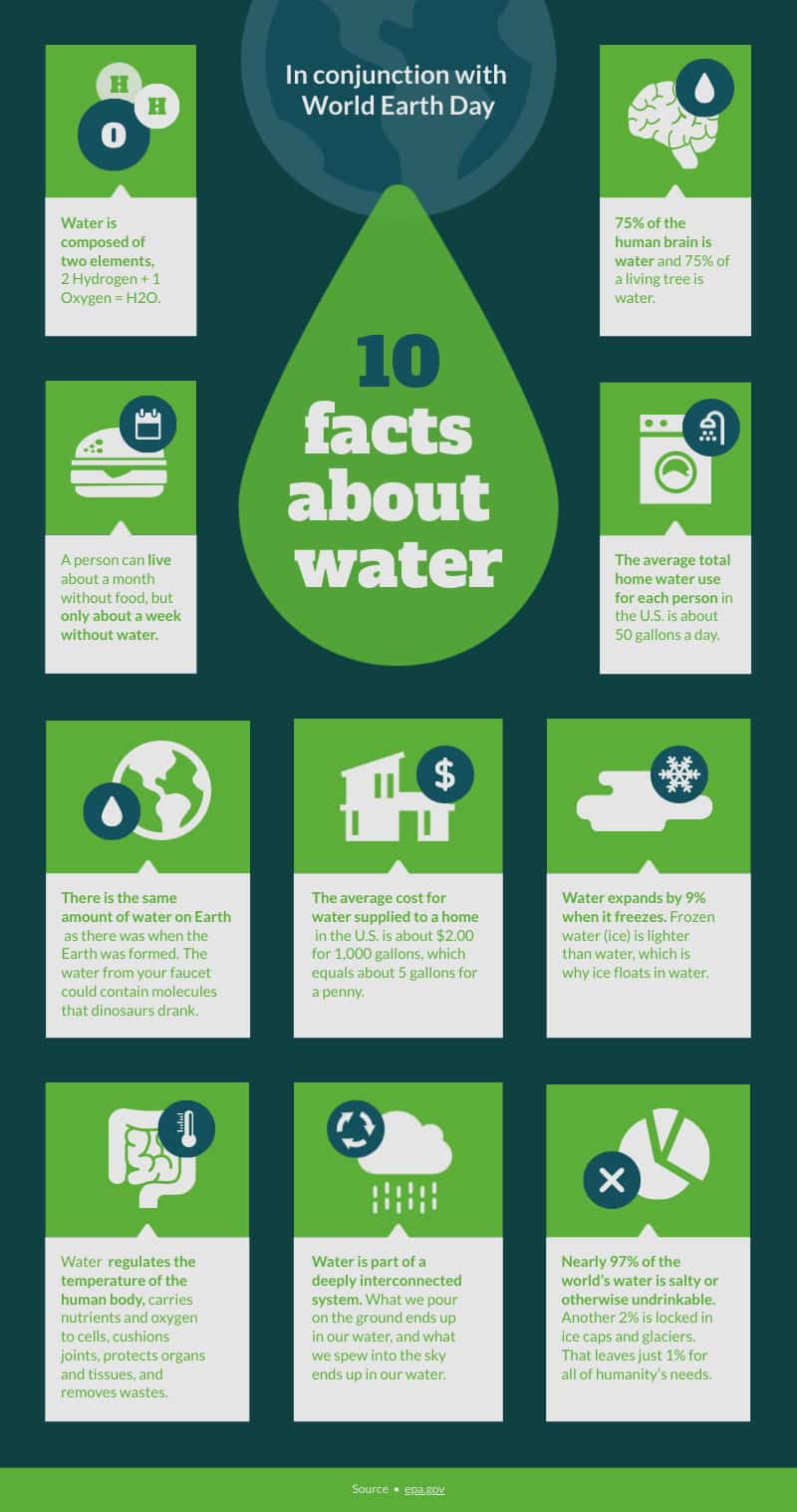 Modelo de one-pager de 10 fatos sobre água com informações relevantes 