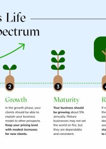 Business Life Cycle Spectrum Pictogram