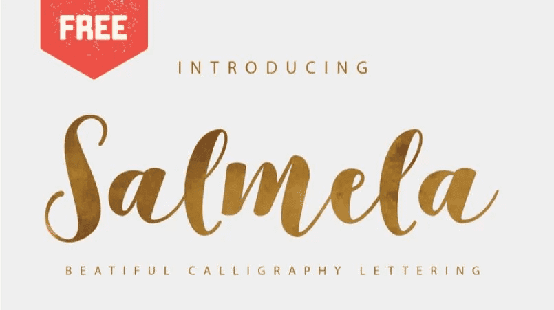 example of Salmela script font