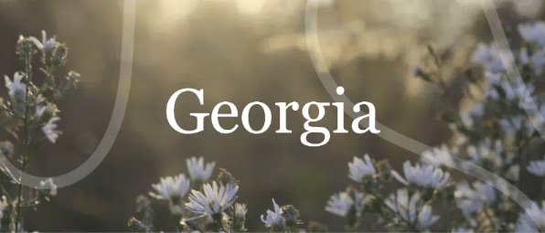 georgia ppt presentation font, georgia font