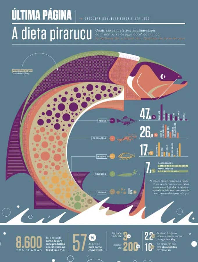 A Dieta Pirarucu brand infographic example